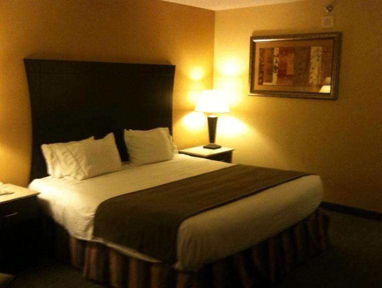 Hotel Indigo Rochester - Mayo Clinic Area Pokój zdjęcie